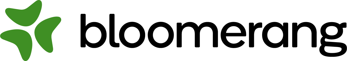 bloomerang_logo_horizontal_rgb_color